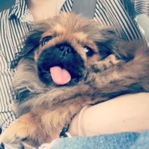 Meet your Posher, Jamie